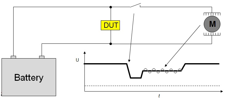 transient-immunity-pulse4-2.jpg